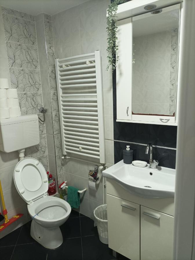 Ariana Apartman Kragujevac Luaran gambar